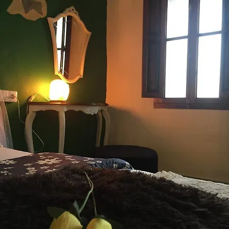 La Bodega Y Lalola *