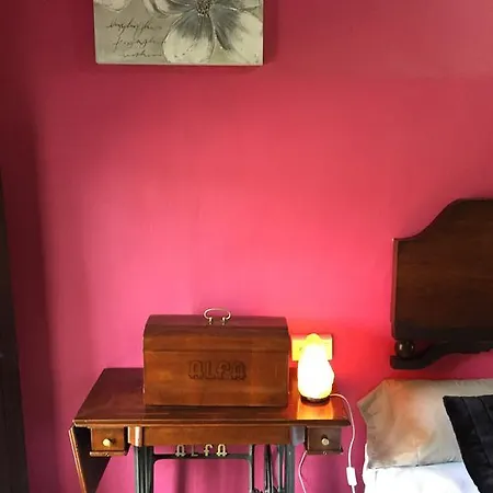 La Bodega Y Lalola *