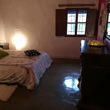La Bodega Y Lalola