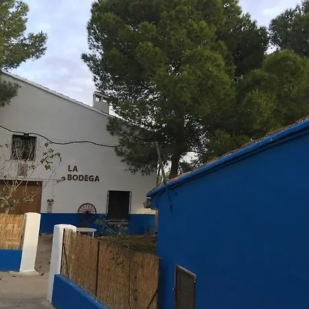La Bodega Y Lalola *